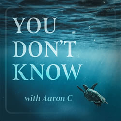 You Don't Know podcast with Aaron Carter